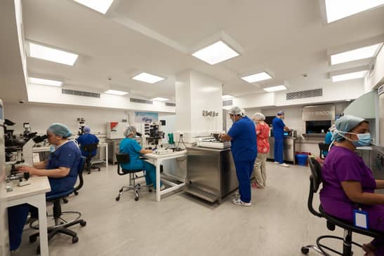 Slider image (3) The Egyptian IVF Center in Cairo Egypt